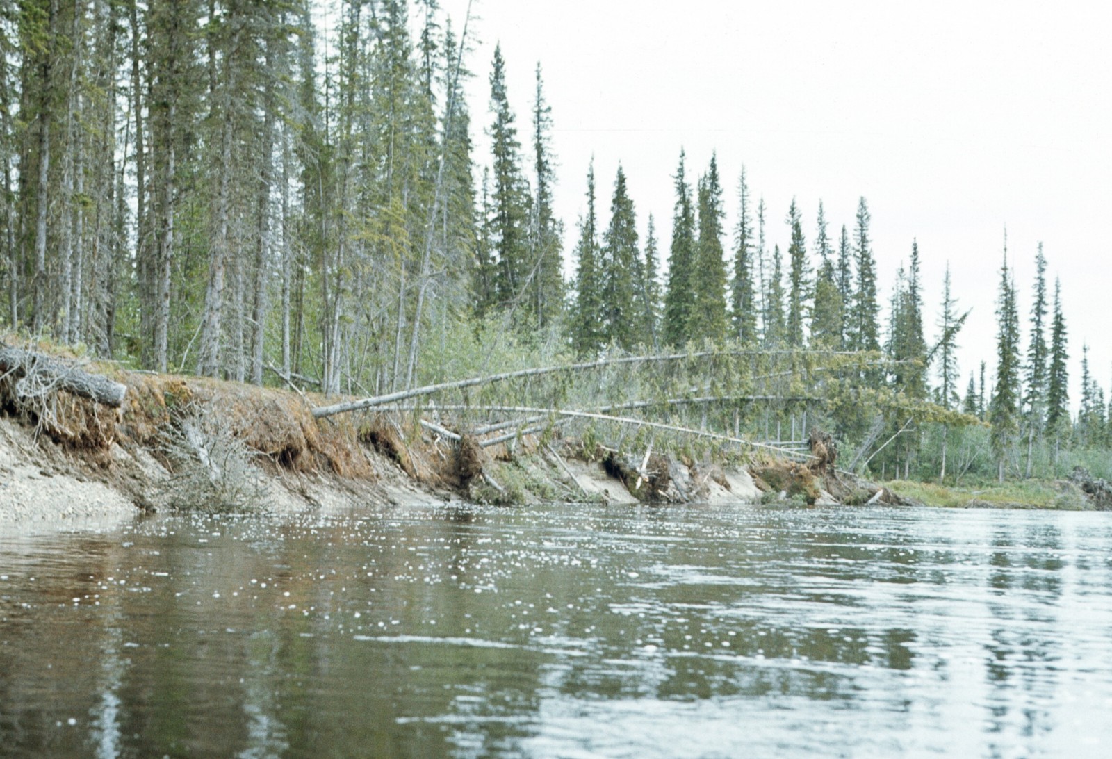 Selawik River | ALASKA.ORG