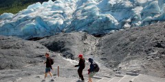 Visit Exit Glacier