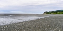 Bishop's Beach