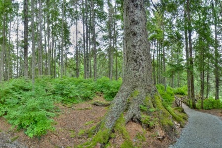 Auke Bay Recreational Area