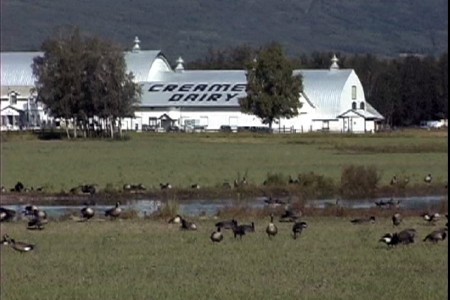 Creamers Field Nature Trail