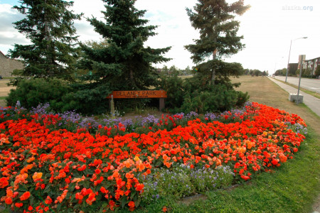 Delaney Park Strip Downtown