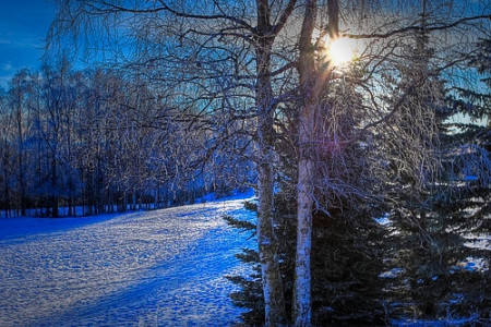 Russian Jack Springs Park