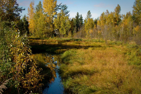 University Lake Park
