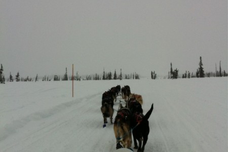 Trapper Creek-Petersville Trail System
