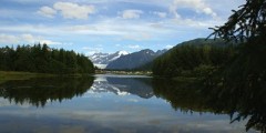 Airport Dike Trail (Mendenhall Refuge Trail)