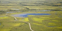 Alaganik Slough Trail