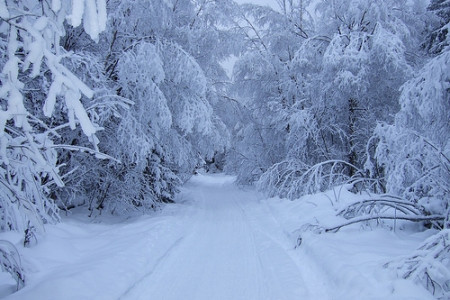 Bird Valley Trailhead
