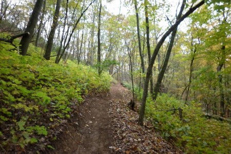 Coalition Loop Trail
