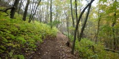 Coalition Loop Trail