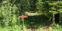 Copper River Trail