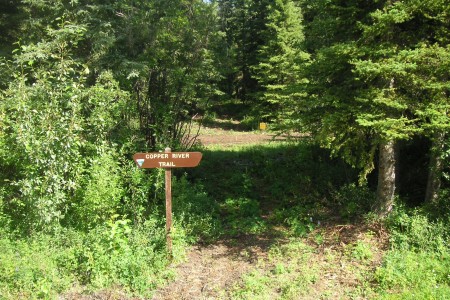 Copper River Trail