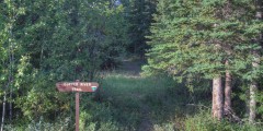 Copper River Trailhead