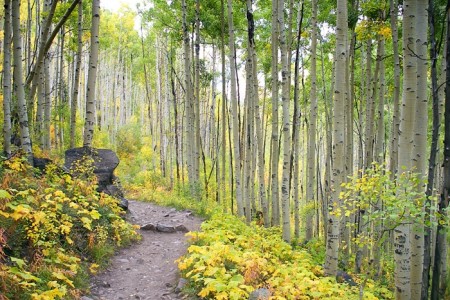 Crater Lake Trail
