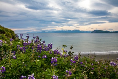 Fossil Beach & Narrow Cape