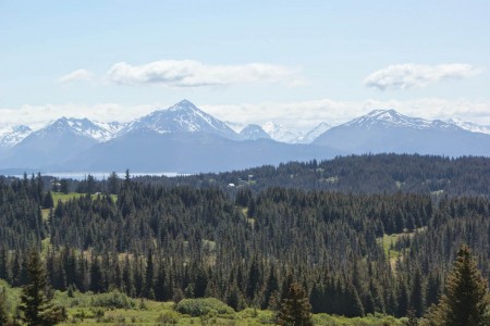 Homestead Trail at Bridge Creek