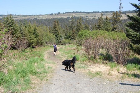 Homestead Trail at Rogers Loop Rd