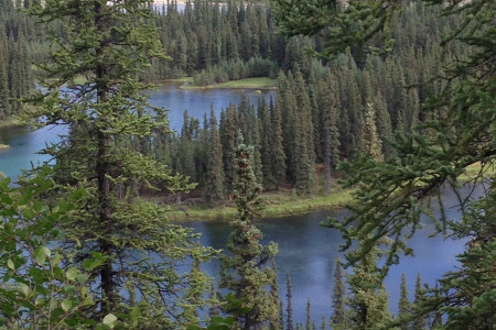 Horseshoe Lake Trail