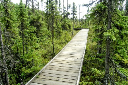 Keen Eye Trail Near Headquarters