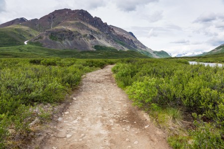 Landmark Gap Trail North MP 24.6