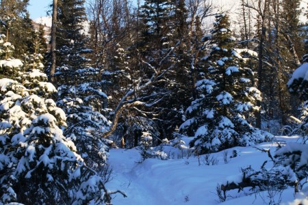 Lost Cabin Valley Trail