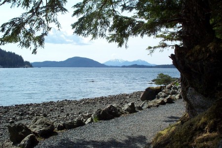 Mosquito Cove Trail