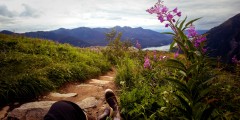 Mount Roberts Alpine Loop Trail