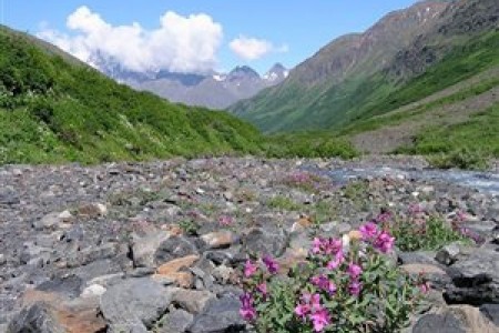 Mountain Meadow Trail