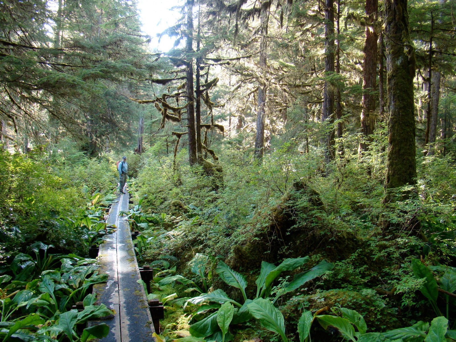 Naha River Trail | ALASKA.ORG