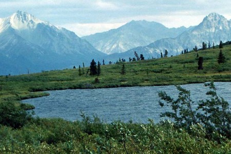 Nelchina River Trail