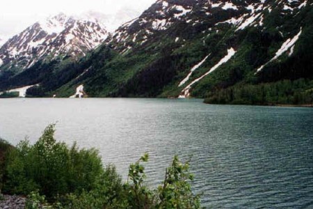 Ptarmigan Creek Trail
