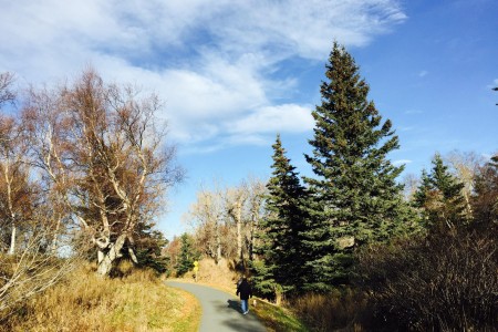 Rabbit Creek Park Trail