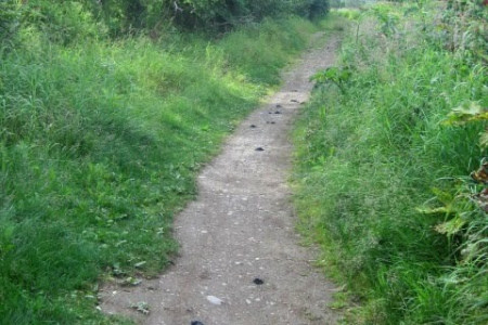 Rabbit Creek Trail to Rabbit Lake