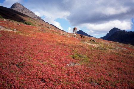 Rendezvous Peak Trail
