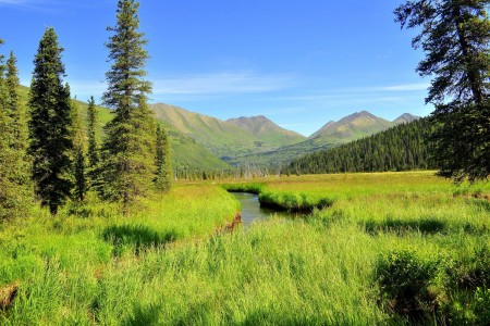 Resurrection River Trail