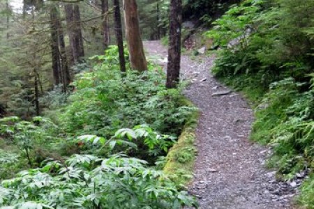 Spaulding Meadows Trail
