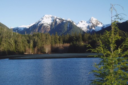 Starrigavan Valley Trail