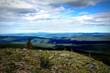Wickersham Dome Trail