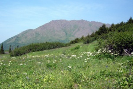Williwaw Lakes Trail