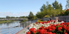 Chena Riverwalk