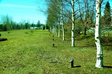 Weeks Field Community Park