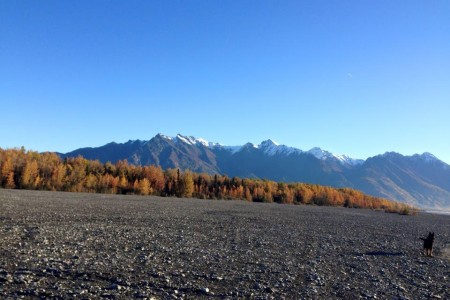 Knik River Bridge East
