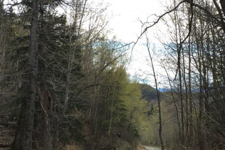 Maud Extension Lake Trails