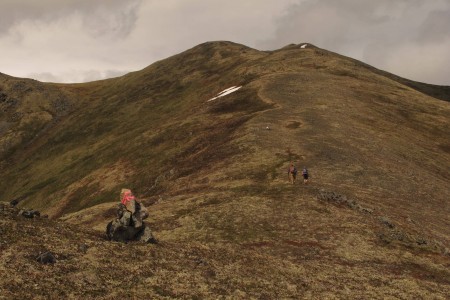 Government Peak Race Trail