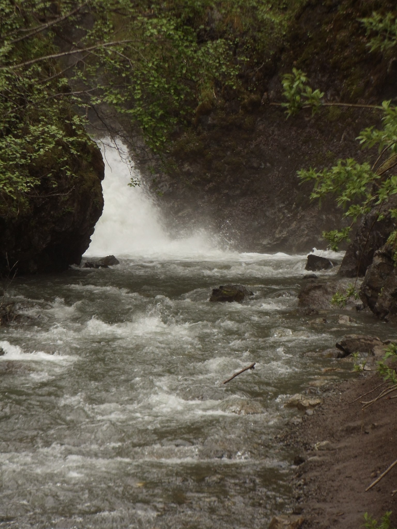 Thunderbird Falls Trail | ALASKA.ORG