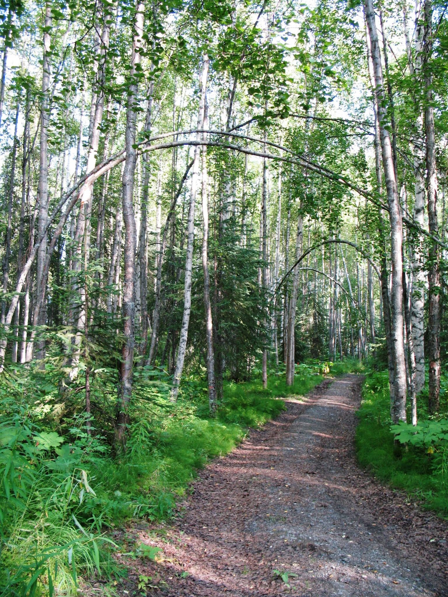 Nancy Lake Alaska Fishing / Nancy Lake Villa - Lakefront Luxury! - HomeAway / The recreation area's clear waters are ringed with unspoiled forests, and provide tranquil settings for canoeing, fishing, hiking and camping.