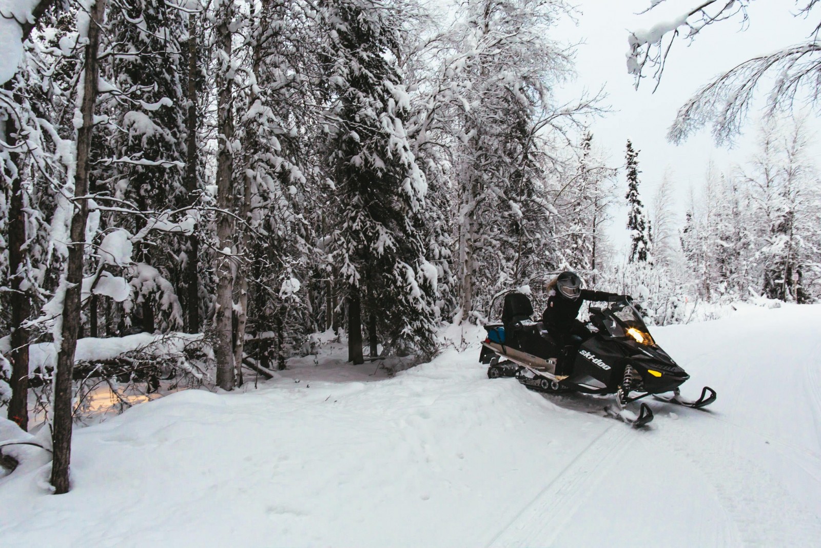 Rod’s Alaskan Guide Service Snowmobile Tours in North…