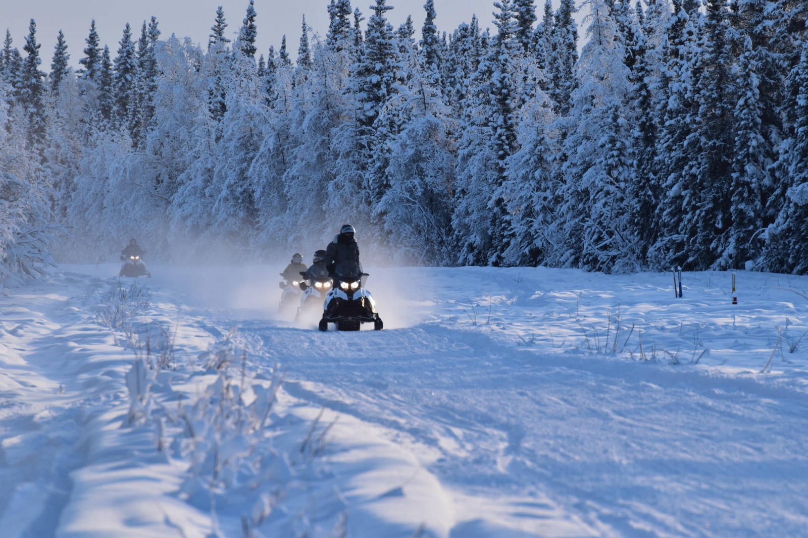 Rod’s Alaskan Guide Service Snowmobile Tours in North…