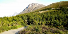 Flattop Mountain Shuttle