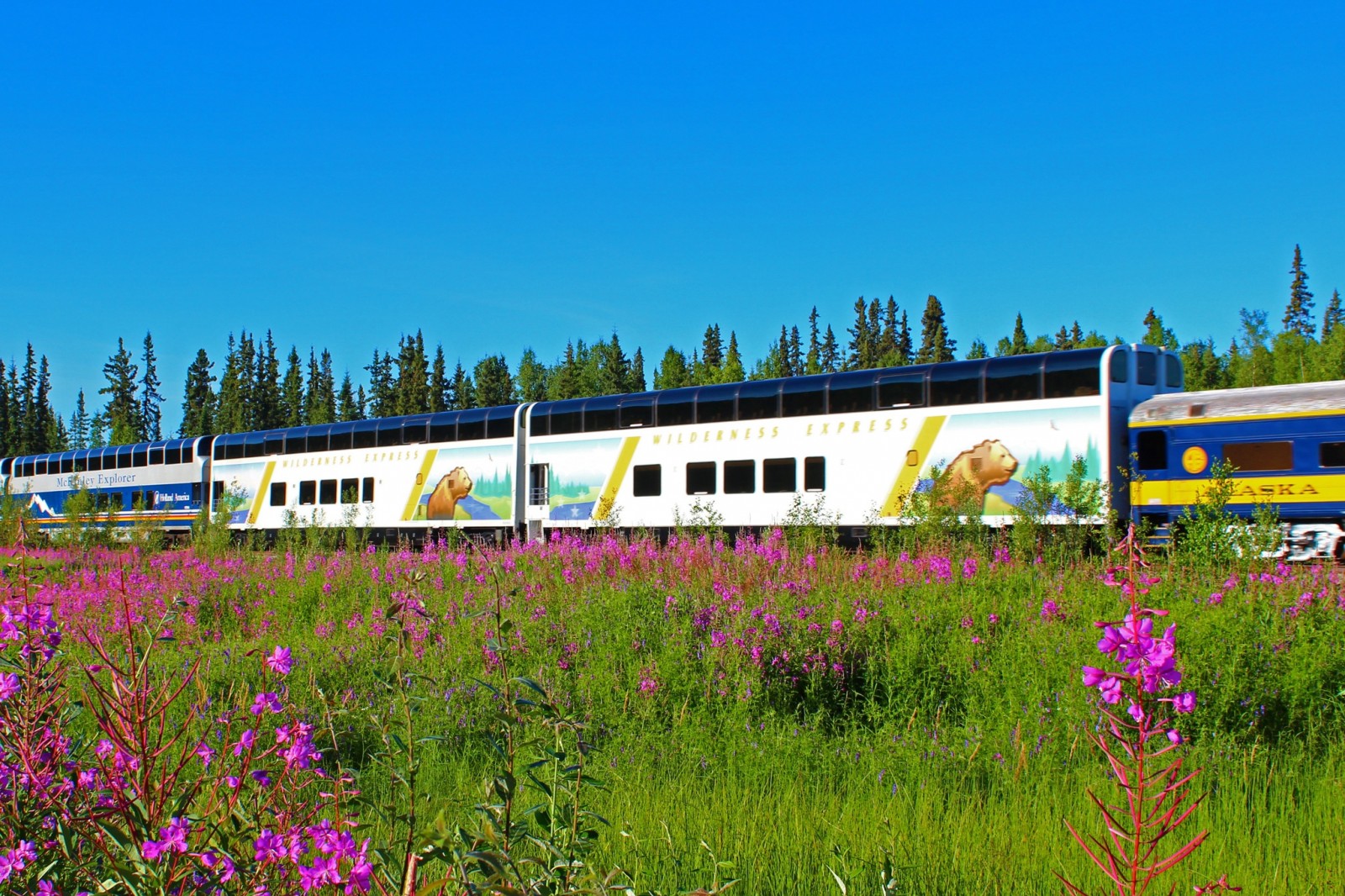 Wilderness Express | Private dome rail car | ALASKA.ORG